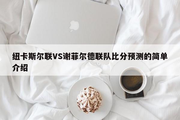 纽卡斯尔联VS谢菲尔德联队比分预测的简单介绍